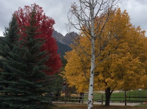 20141011_172518958_iOS